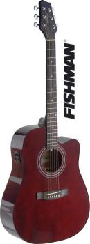 Dreadnought electro-acoustic cutaway concert guitar with FISHMAN pream (ST-SA40DCFI-TR)