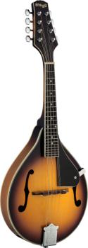Bluegrass Mandolin with solid spruce top (ST-M40 S)